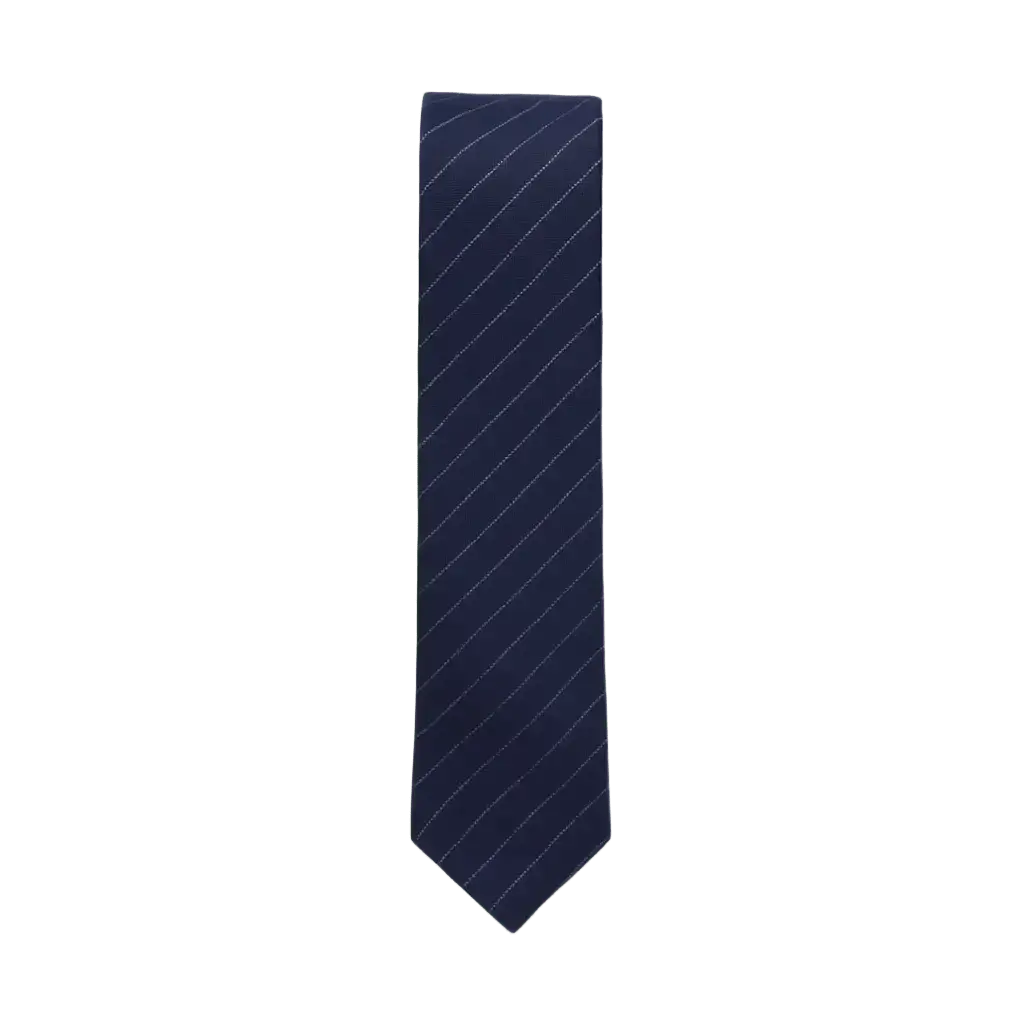 Lucas | Élégante Cravate Homme en Coton Rayé Bleu Marine 1