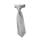 Julien | Élégante Cravate Homme en Jacquard de Soie Argentée 1