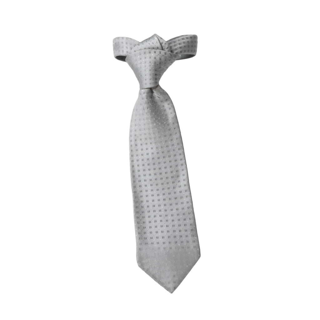 Julien | Élégante Cravate Homme en Jacquard de Soie Argentée 1