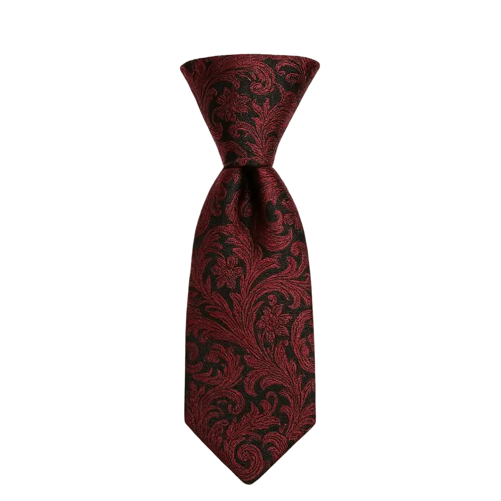 Ethan | Élégante Cravate Rouge en Soie avec Motif Paisley Homme Luxe 1