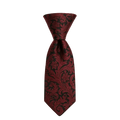 Ethan | Élégante Cravate Rouge en Soie avec Motif Paisley Homme Luxe 1