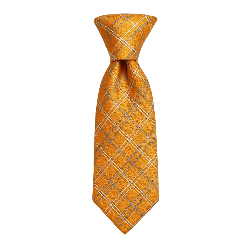 Lucas | Élégante Cravate Homme en Soie Rayée Orange 1