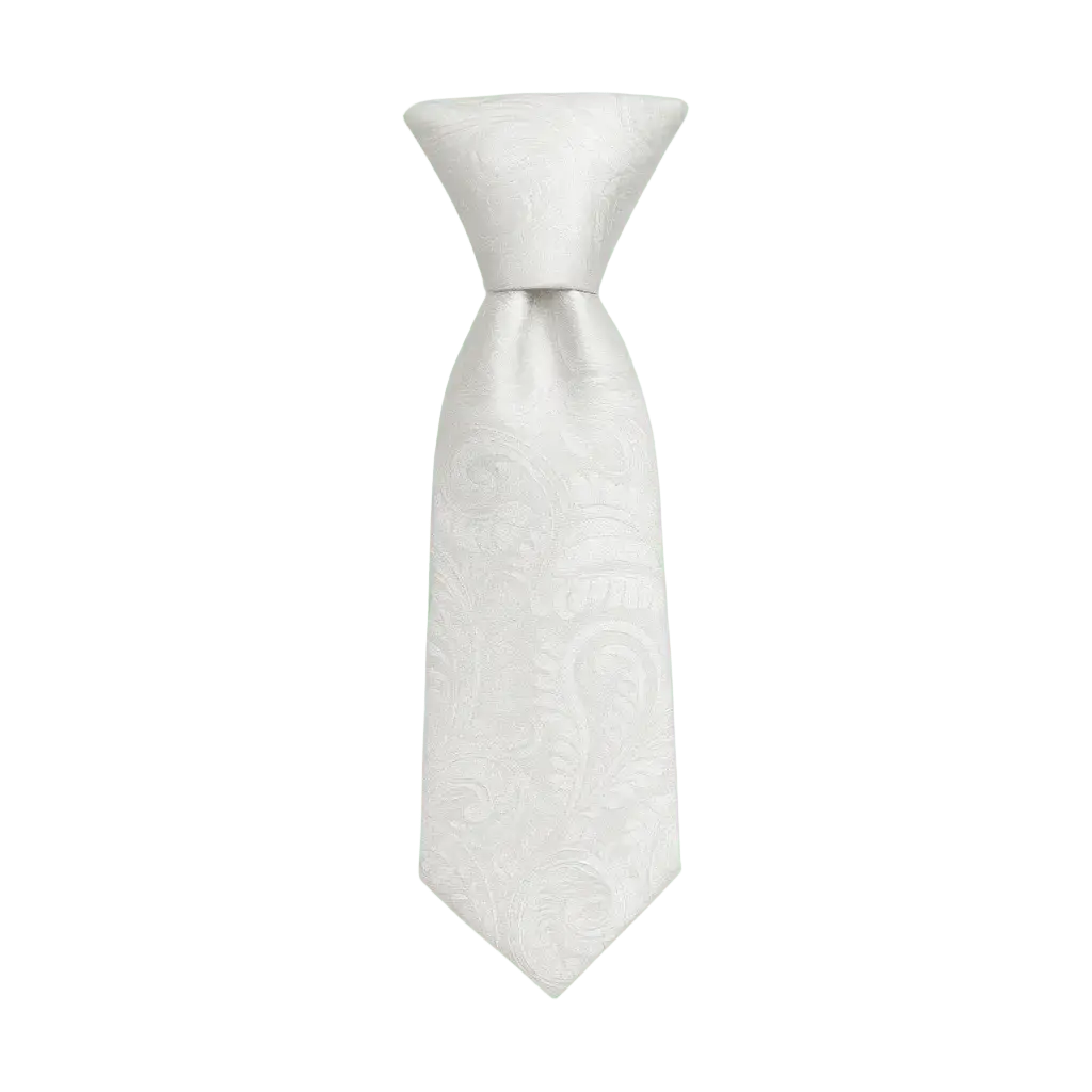 Ethan | Élégante Cravate Homme Luxe en Soie Motif Paisley 1