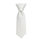 Ethan | Élégante Cravate Homme Luxe en Soie Motif Paisley 1