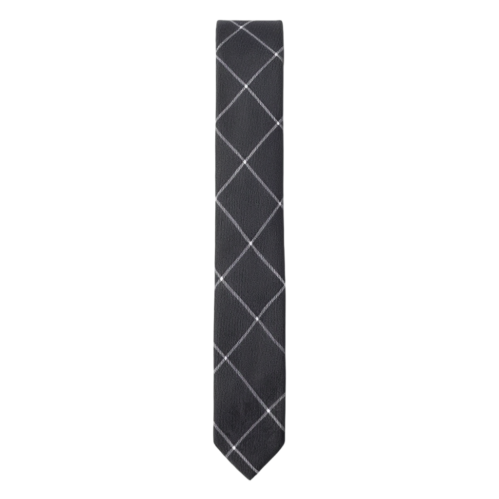Lucas | Élégante Cravate Homme à Grands Carreaux en Coton 1